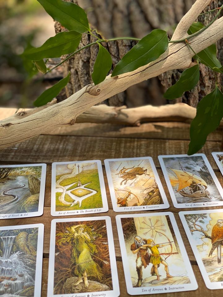 "The Wild Root" Tarot Cards